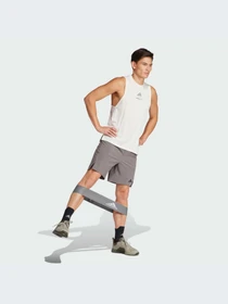 Шорты Adidas Clima модель IS3832 Фото