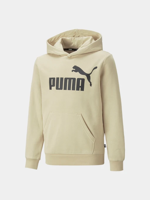 Худи и свитшоты PUMA Ess Big Logo Hoodie модель 586965 Фото