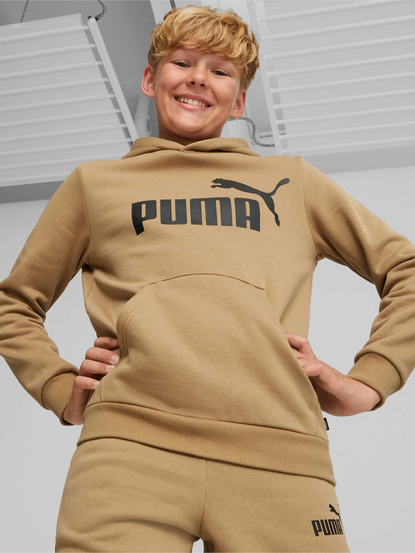 Худи и свитшоты PUMA Ess Big Logo Hoodie модель 586965 Фото