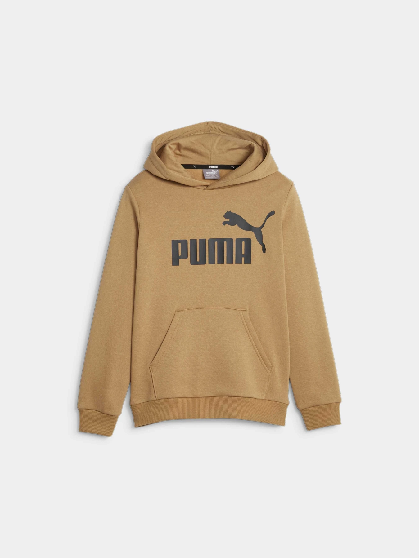 Худи и свитшоты PUMA Ess Big Logo Hoodie модель 586965 Фото