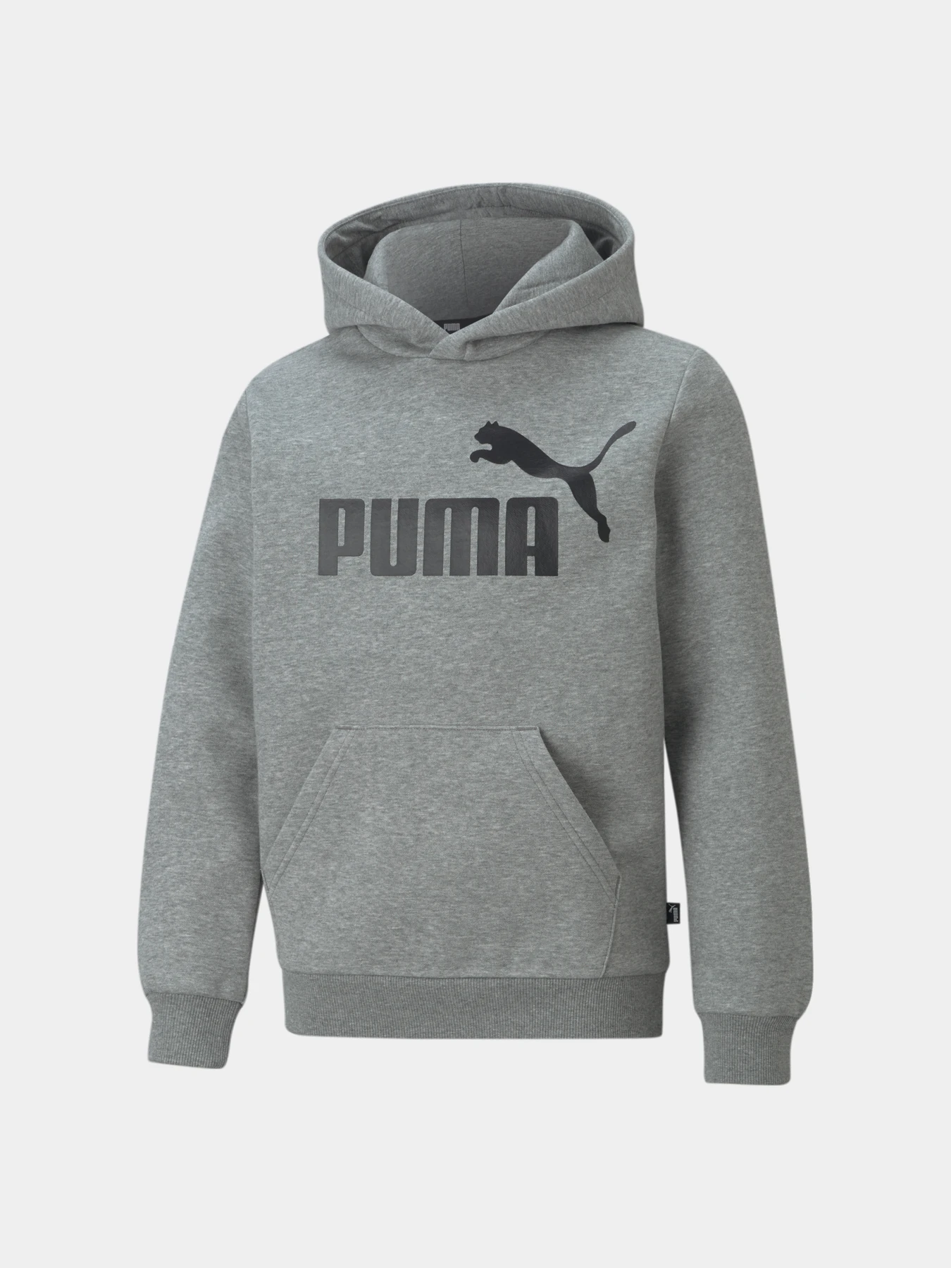 Худи и свитшоты PUMA Ess Big Logo Hoodie модель 586965 Фото