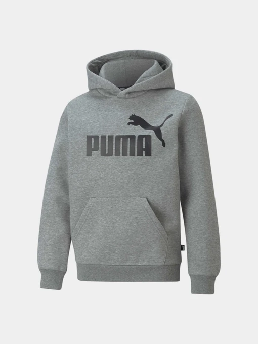 Худи и свитшоты PUMA Ess Big Logo Hoodie модель 586965 Фото