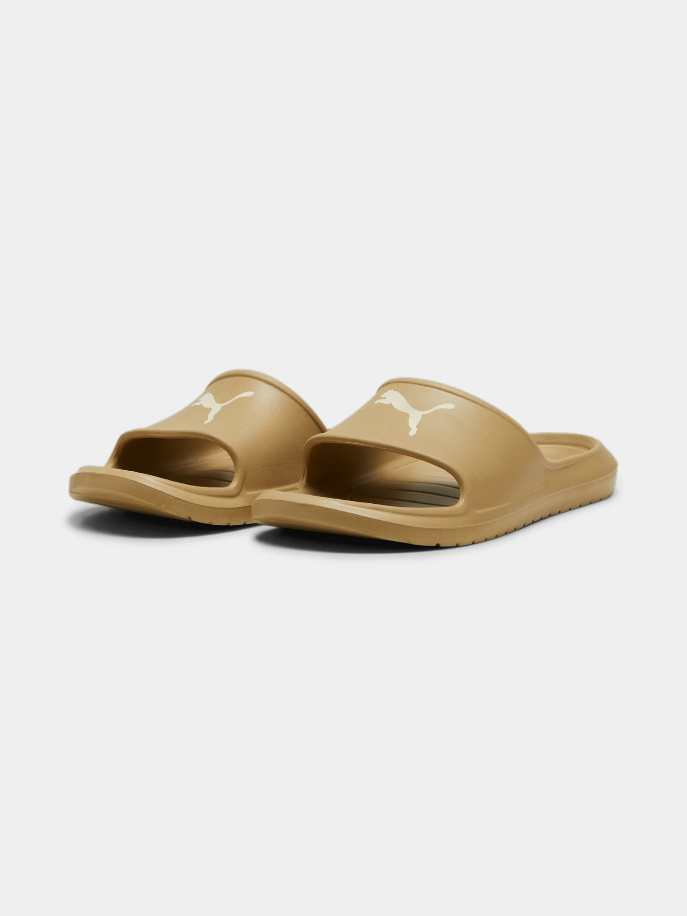 Шлёпанцы PUMA Divecat V2 Lite Cat модель 386713 Шлёпанцы PUMA Divecat V2 Lite Cat модель 386713 Фото
