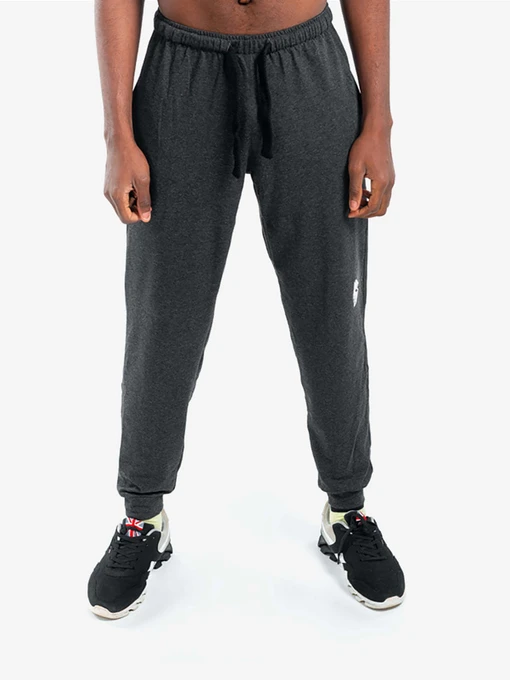 Брюки Berserk Sport Premium модель PremiumfleeceDarkGrayPNTM Фото