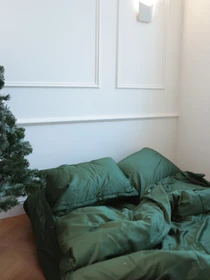 Комплект постельного белья с ткани Сатин Изумрудный цвет BedclozZzes модель 3649 Фото