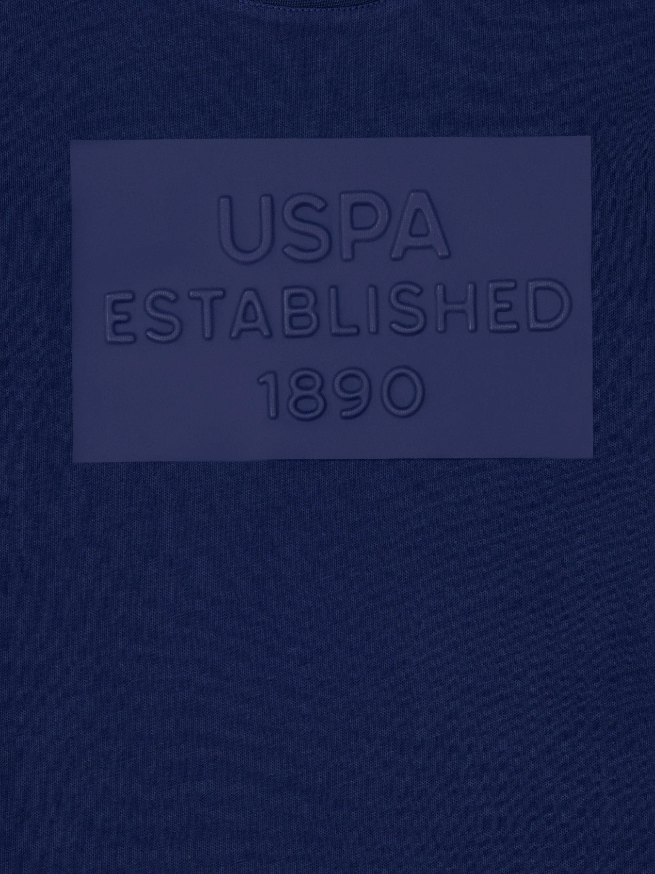 Футболки и поло US Polo модель USPAINT.1574147.VR033 Футболки и поло US Polo модель USPAINT.1574147.VR033 Фото