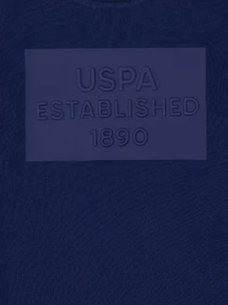 Футболки и поло US Polo модель USPAINT.1574147.VR033 Фото