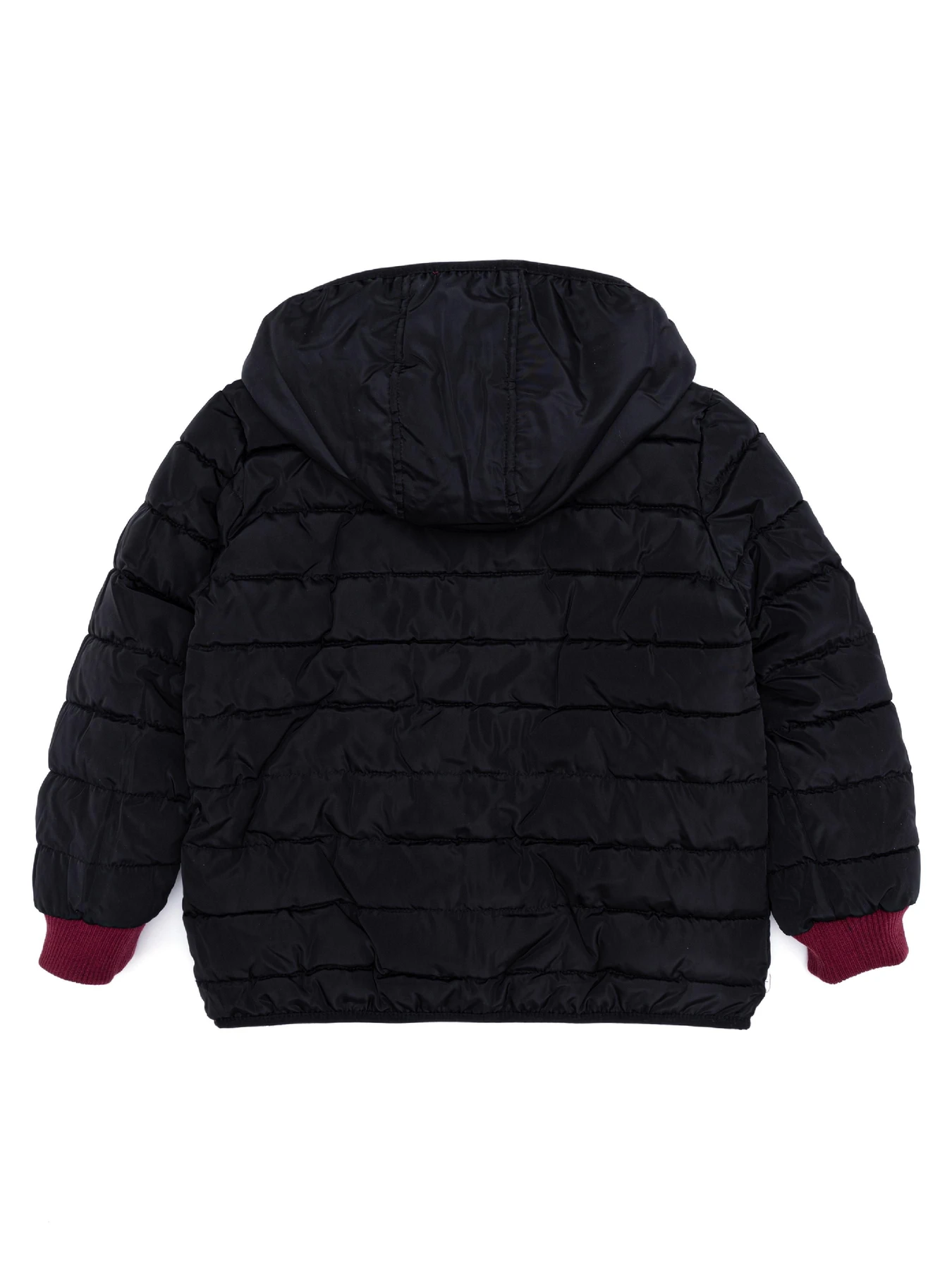 Куртки и дубленки US Polo модель G083SZ0MS.000.1460141.VR046 Фото
