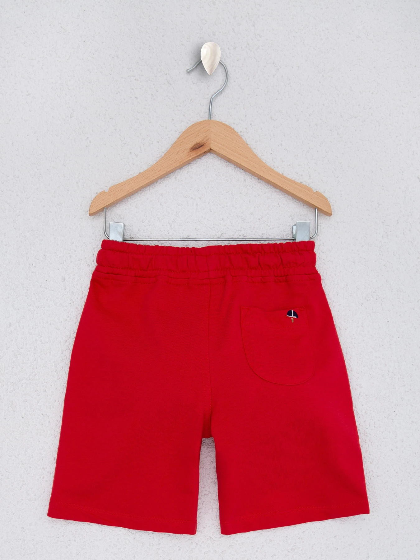 Шорты US Polo модель G083SZ0OS.000.1066311.VR030 Фото