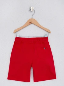 Шорты US Polo модель G083SZ0OS.000.1066311.VR030 Фото
