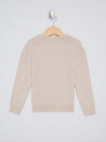 Худи и свитшоты US Polo модель G084SZ0TK.000.1072772.VR071 Фото