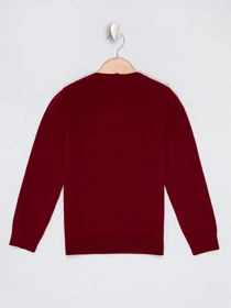 Свитры и кардиганы US Polo модель G083SZ0TK.000.1078593.VR014 Фото