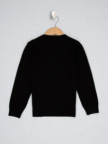 Свитры и кардиганы US Polo модель G083SZ0TK.000.1078593.VR046 Фото