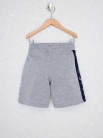 Шорты US Polo модель G083SZ0OS.000.1202362.VR086 Фото
