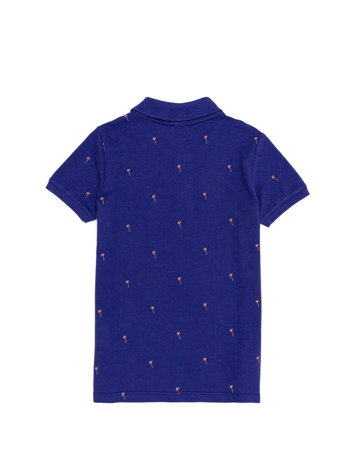 Футболки и поло US Polo модель G083SZ011.000.1364223.VR212 Футболки и поло US Polo модель G083SZ011.000.1364223.VR212 Фото