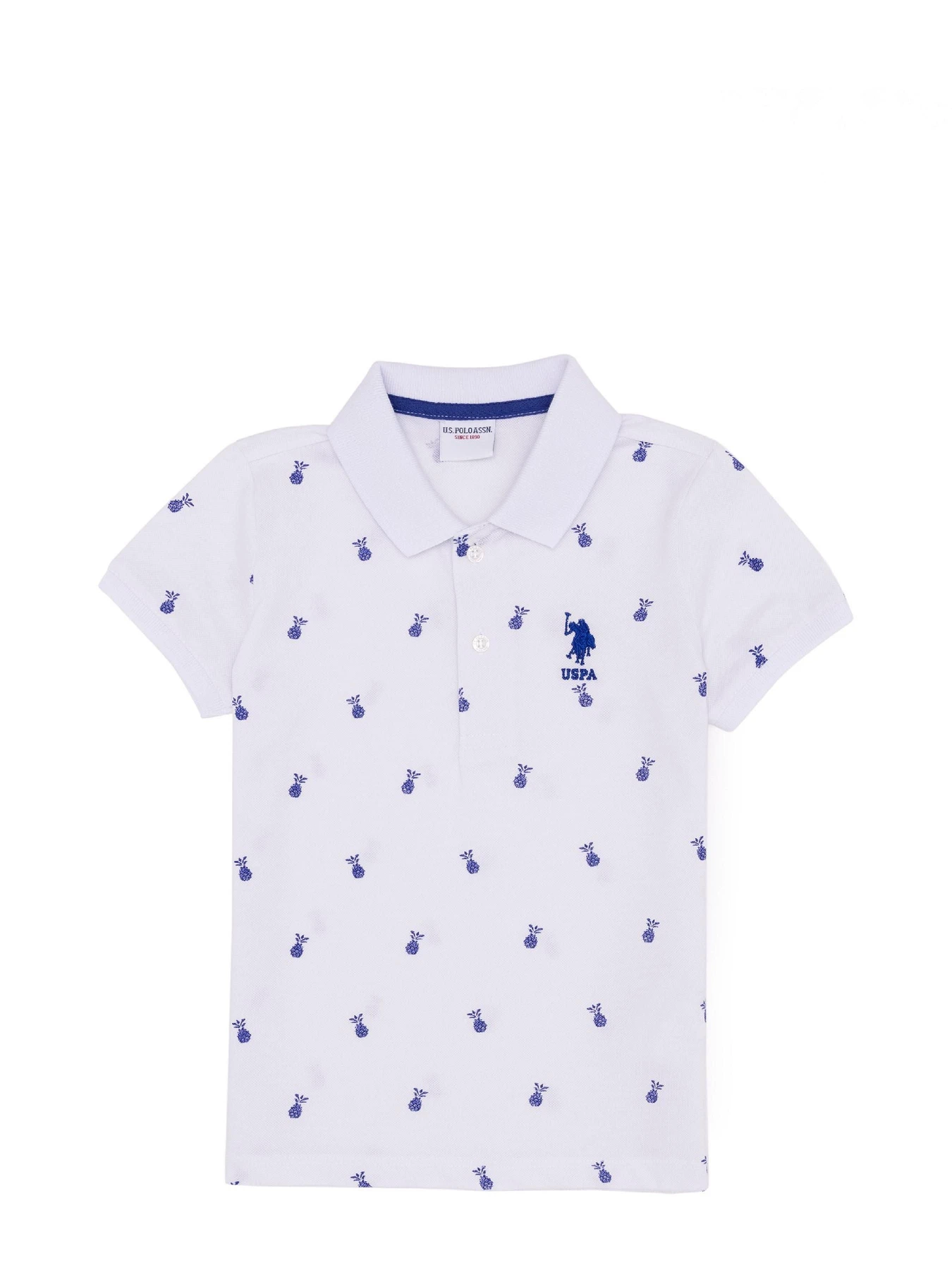 Футболки и поло US Polo модель G083SZ011.000.1364226.VR013 Футболки и поло US Polo модель G083SZ011.000.1364226.VR013 Фото