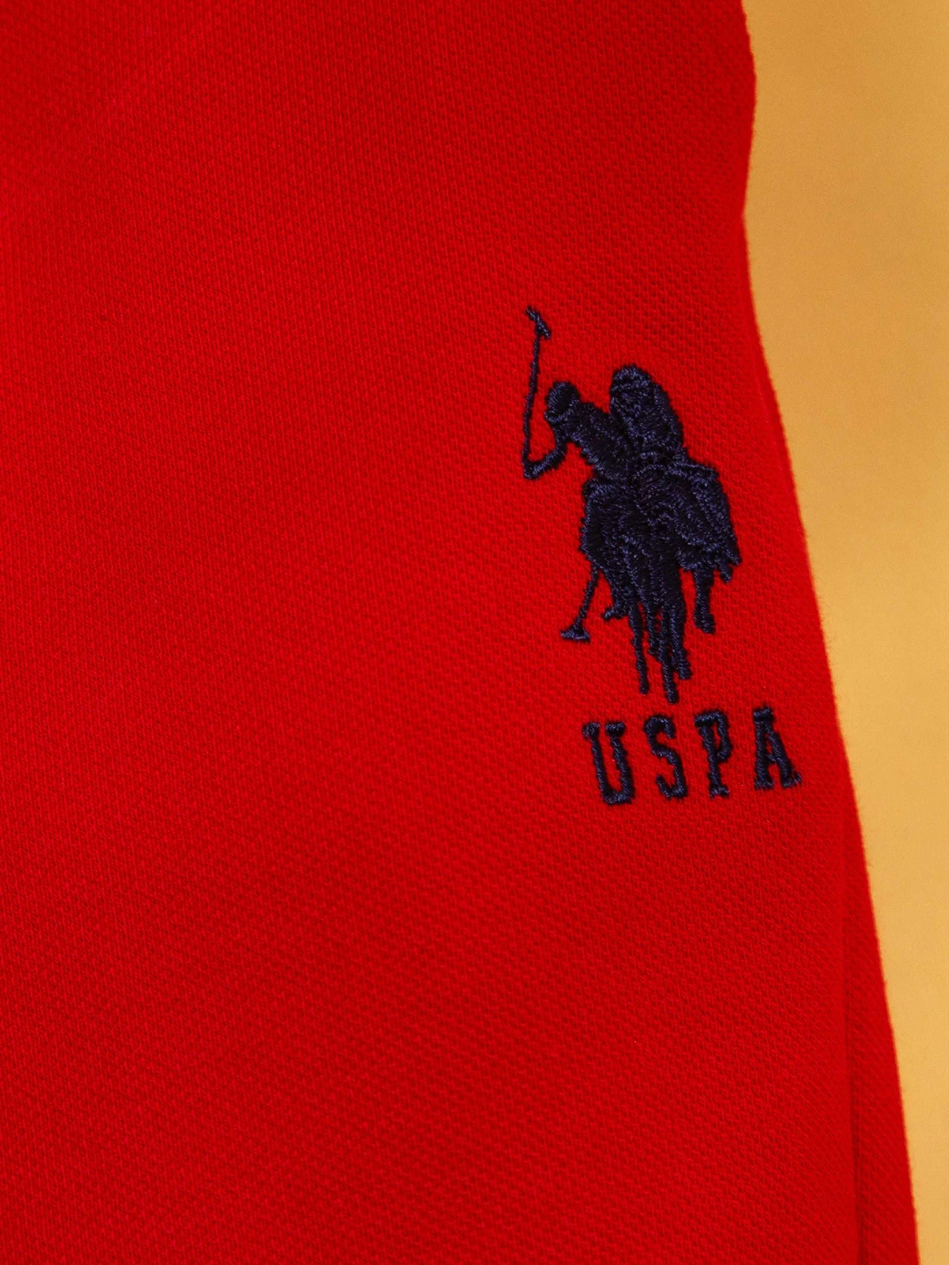 Шорты US Polo модель G083SZ0OS.000.738888.VR171 Фото