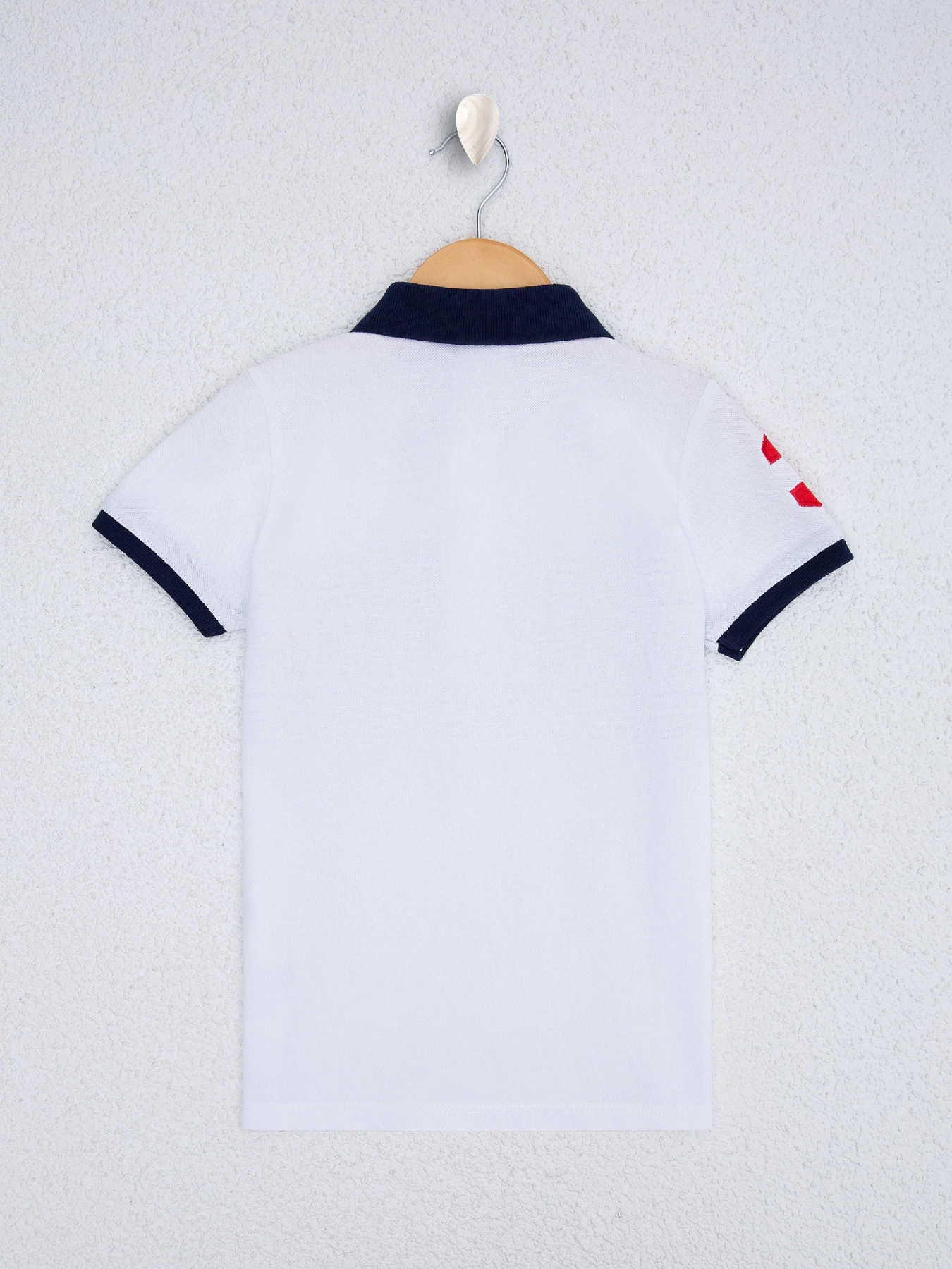 Футболки и поло US Polo модель G083SZ011.000.961561.VR013 Футболки и поло US Polo модель G083SZ011.000.961561.VR013 Фото