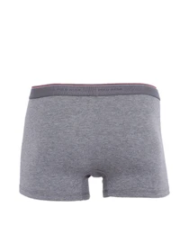 Нижня білизна US Polo модель I081SZ0IA.000.80093_.850 Фото