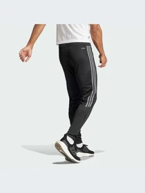 Штани Adidas Tiro модель IN8186 Фото
