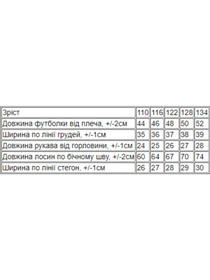 Костюмы Носи своє модель 6427-043-33-chajna-troqnda Фото