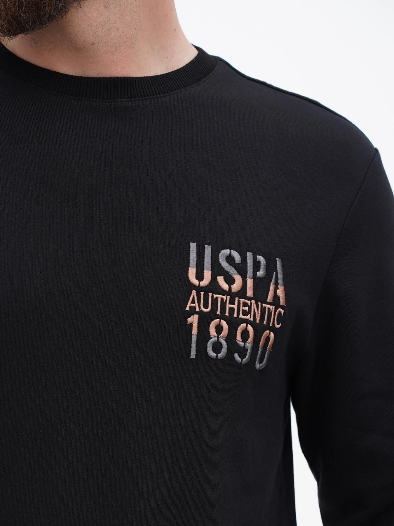 Худі та світшоти US Polo модель USPA.1298619.VR046 Фото