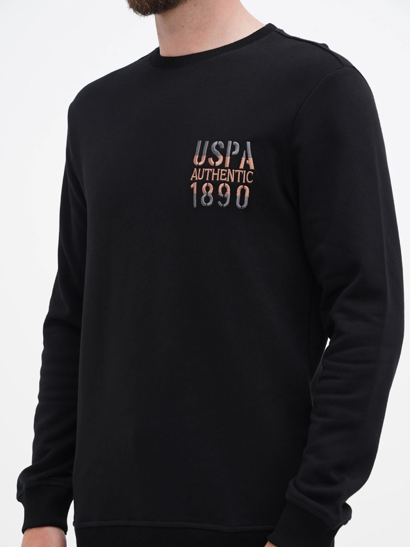 Худі та світшоти US Polo модель USPA.1298619.VR046 Фото