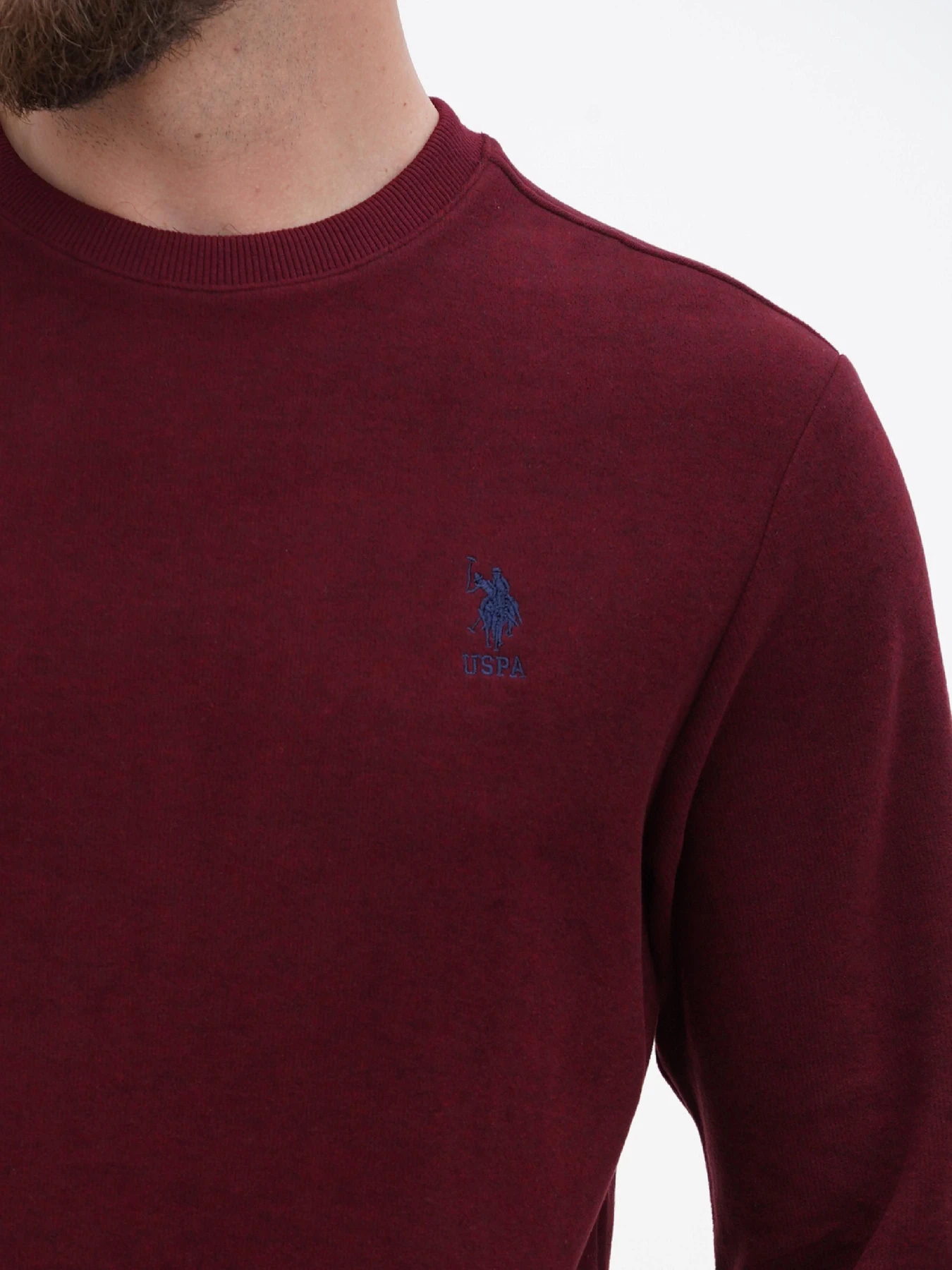 Худи и свитшоты US Polo модель USPA.1630000.VR223 Худи и свитшоты US Polo модель USPA.1630000.VR223 Фото