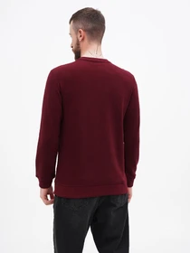 Худи и свитшоты US Polo модель USPA.1630000.VR223 Фото
