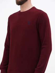 Худи и свитшоты US Polo модель USPA.1630000.VR223 Фото