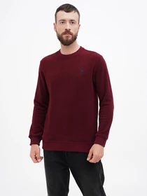 Худи и свитшоты US Polo модель USPA.1630000.VR223 Фото