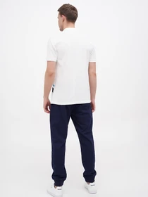 Брюки US Polo модель USPA.1796260.VR033 Фото
