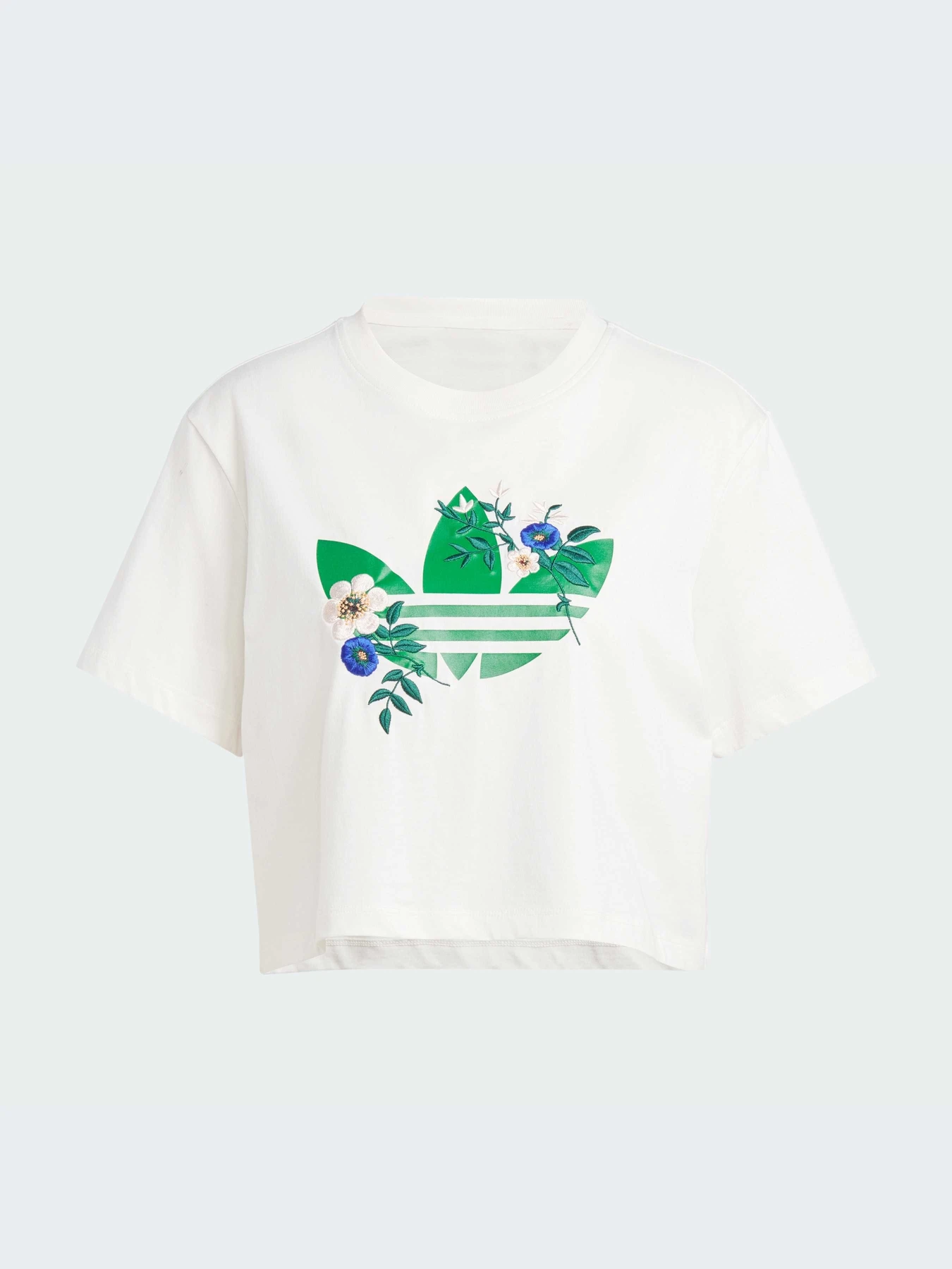 Футболки и поло Adidas Graphics модель IS3870 Фото