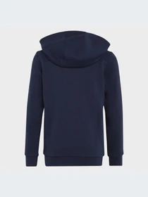 Худи и свитшоты Adidas модель IC0600 Фото