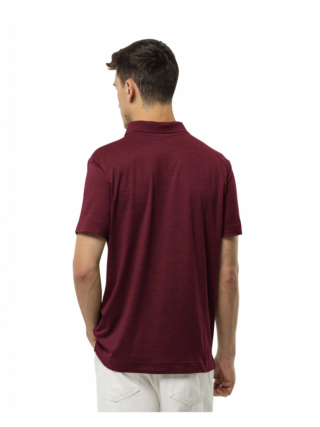 Футболки і поло Jack Wolfskin Travel polo m модель 1809721_2511 Фото