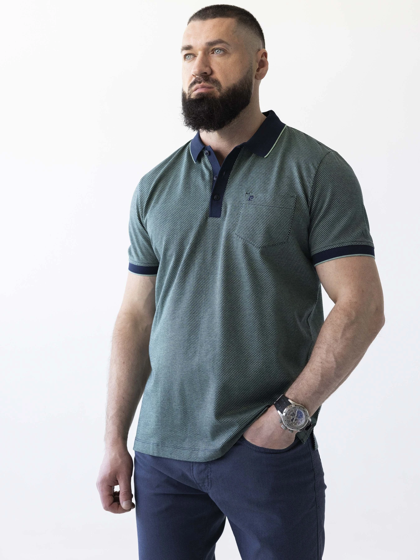 Футболки и поло Pierre Cardin модель 2093.5024.21224 Футболки и поло Pierre Cardin модель 2093.5024.21224 Фото