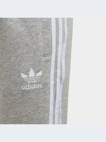 Брюки Adidas Adicolor модель GD2705 Фото