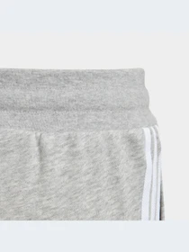 Брюки Adidas Adicolor модель GD2705 Фото