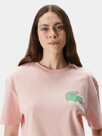 Футболки и поло Lacoste модель TF0409KF9 Фото