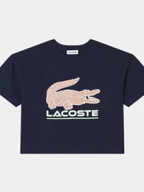 Футболки і поло Lacoste модель TF240404L Фото