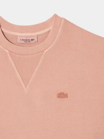Футболки и поло Lacoste модель TF7217K86 Фото