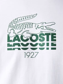 Футболки и поло Lacoste модель TH1228001 Фото