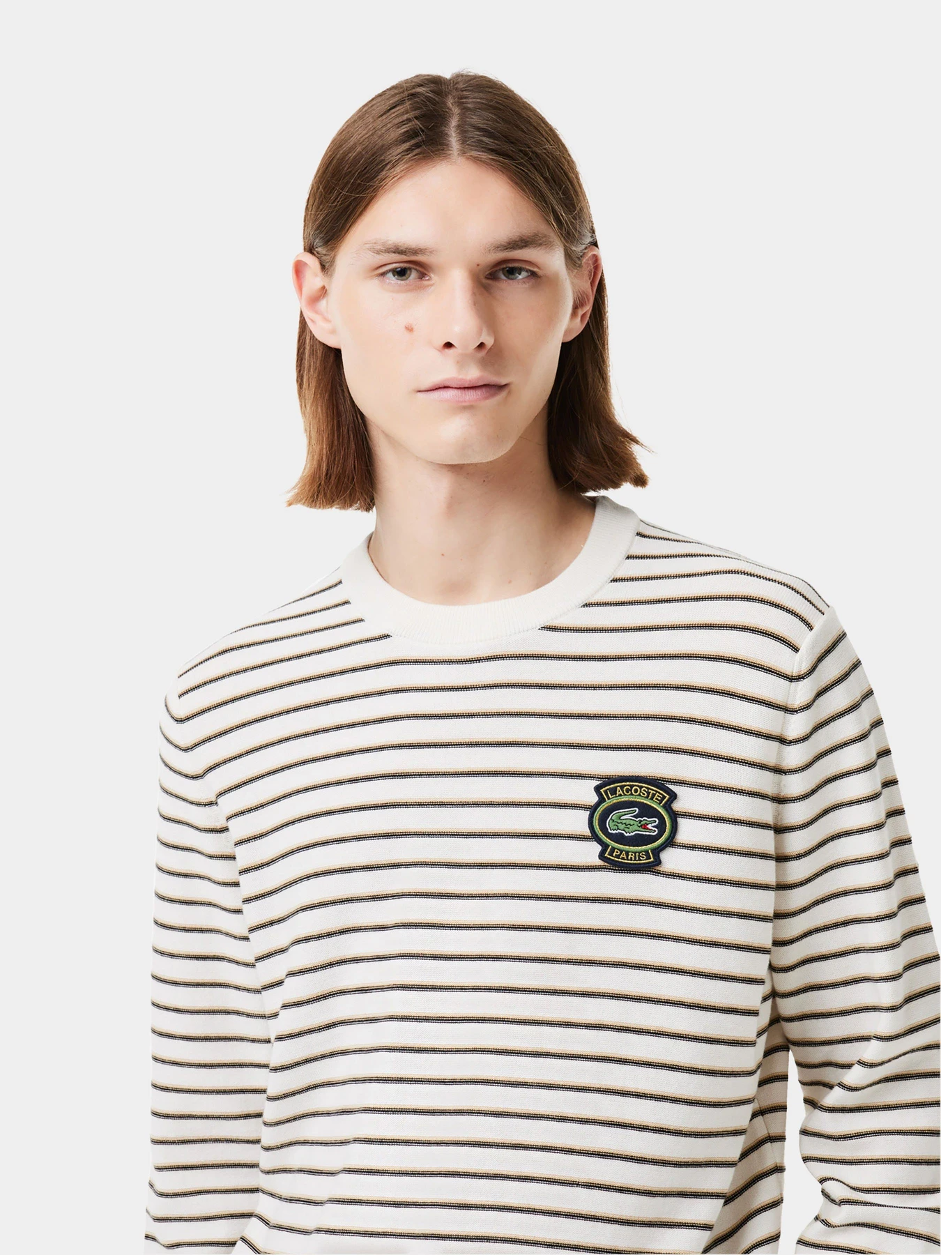 Худі та світшоти Lacoste модель AH7653ITY Фото