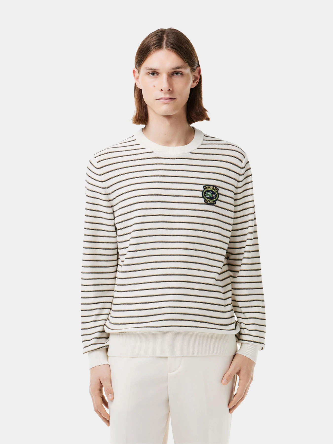 Худі та світшоти Lacoste модель AH7653ITY Фото