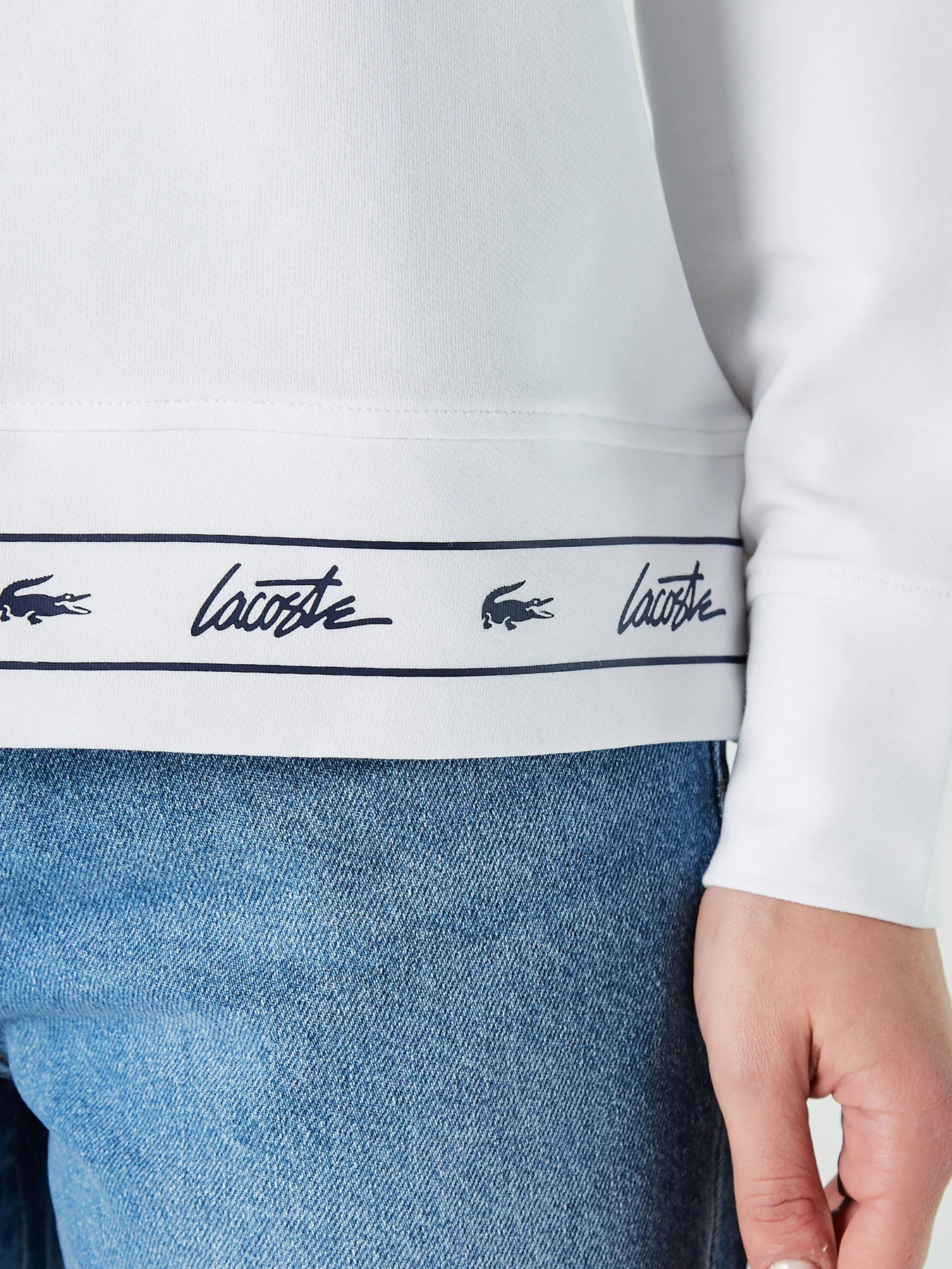 Худі та світшоти Lacoste модель SF020606B Худі та світшоти Lacoste модель SF020606B Фото