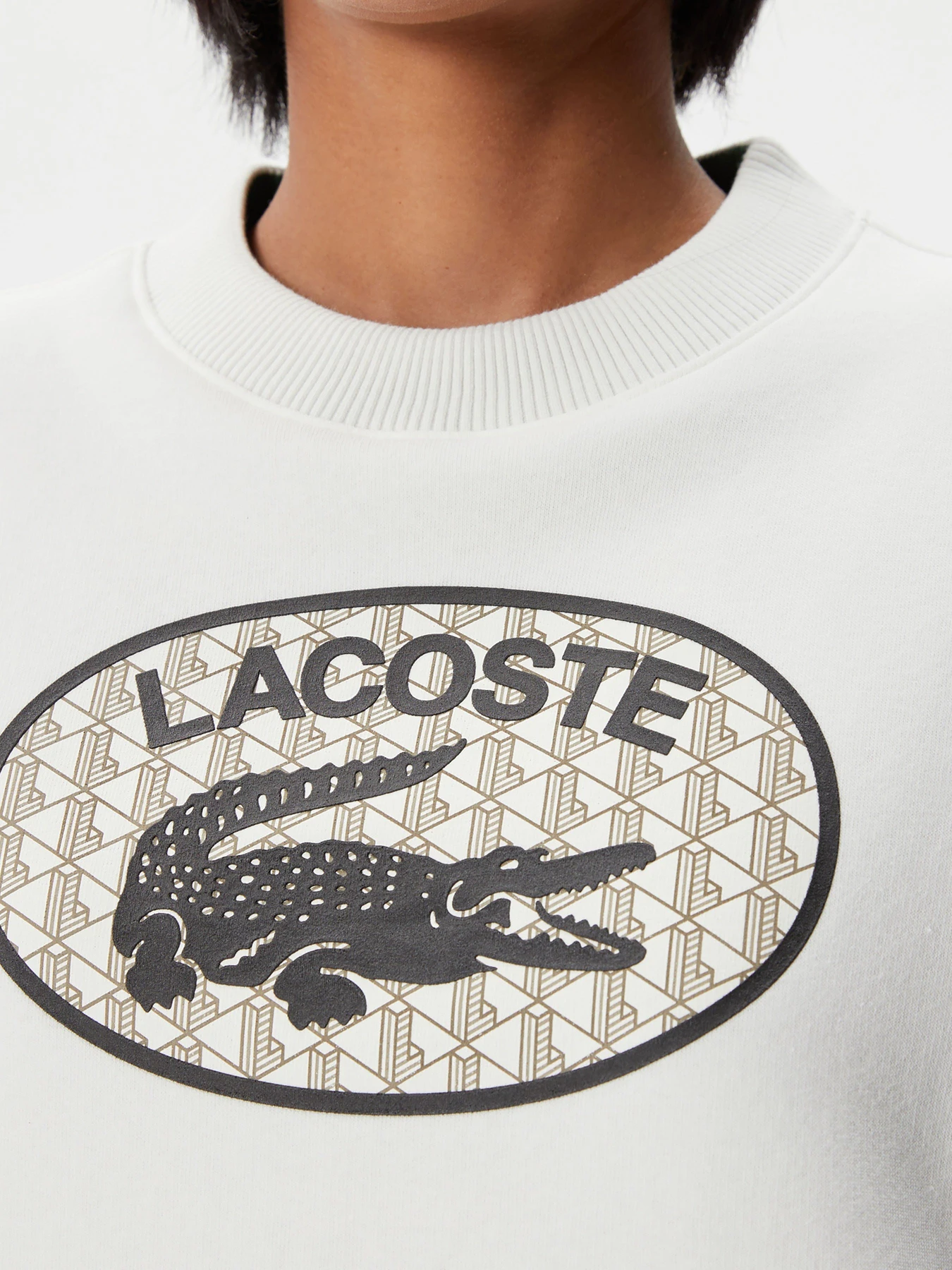 Худи и свитшоты Lacoste модель SF240707B Фото