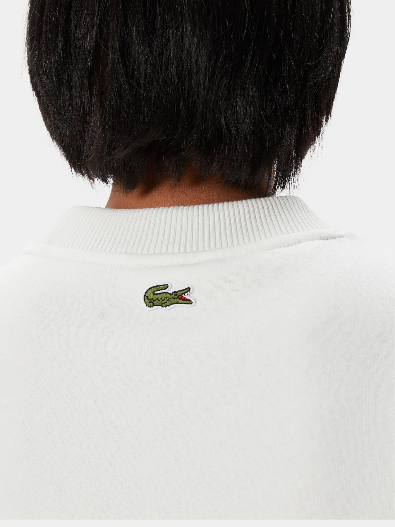Худи и свитшоты Lacoste модель SF240707B Фото