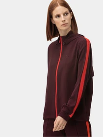 Худи и свитшоты Lacoste модель SF6622TBL Фото