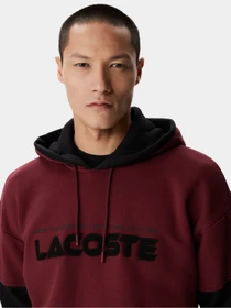 Худи и свитшоты Lacoste модель SH240404D Фото