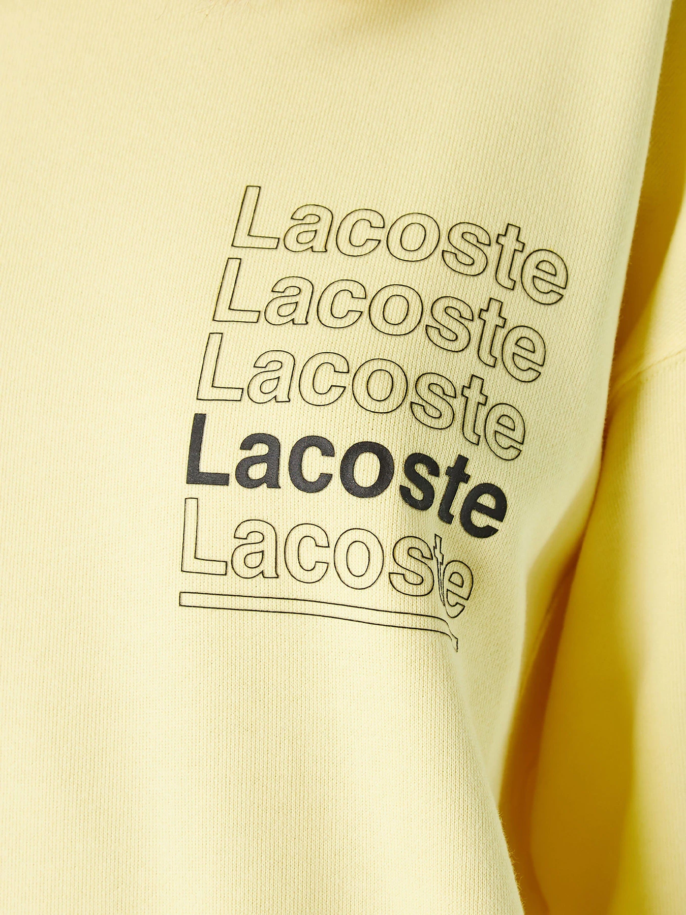 Худі та світшоти Lacoste модель SH7294107 Фото
